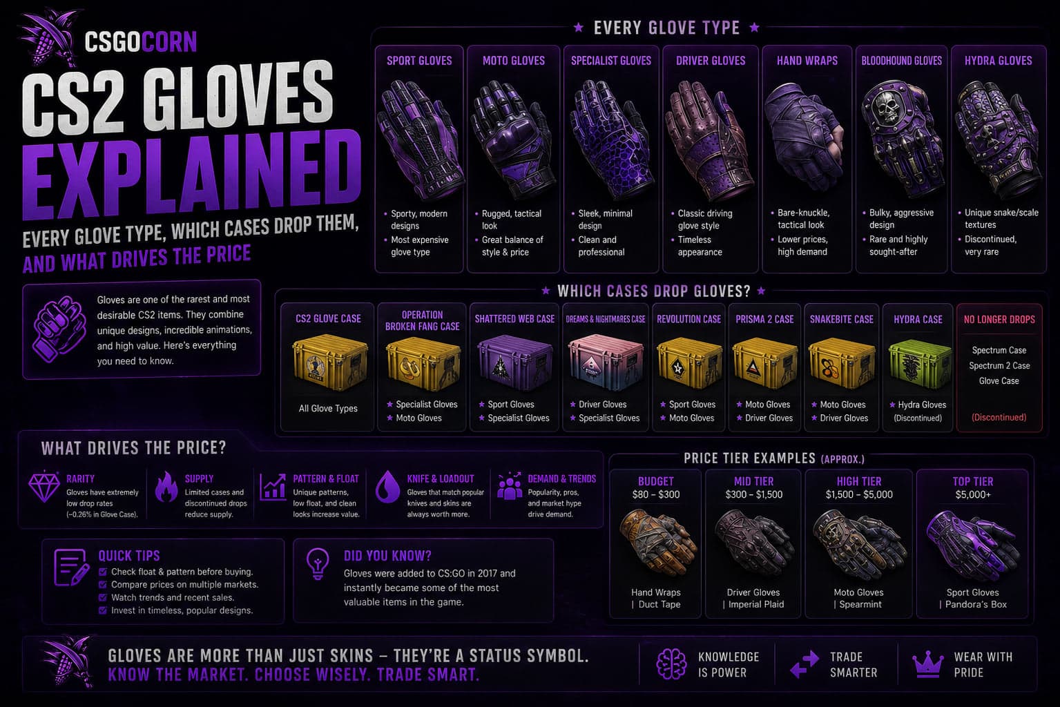 CS2 Gloves Explained: Every Glove Type, Which Cases Drop Them, and What Drives the Price
